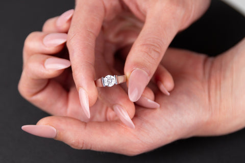 THE PROMISE